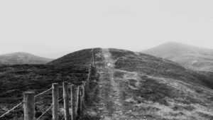 Giant’s Causeway & Antrim Coast Day Tour — image 3